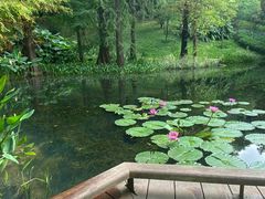 -云溪植物园