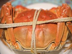 -新光酒家·河豚·海鲜·蟹料理(浦东店)