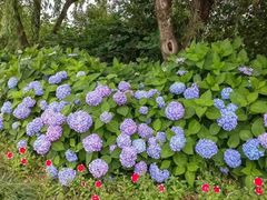 -漩门湾国家湿地公园