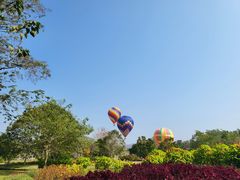 -中国科学院西双版纳热带植物园