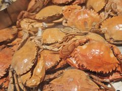 -冀粤香海鲜自助餐厅(西美五洲店)