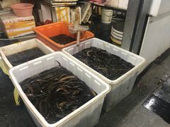 -岳各庄批发市场(西四环中路店)