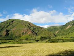 -紫颐香薰山谷景区