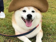 -杭州城中香格里拉大酒店