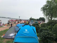 -丁香湖公园