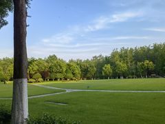 -合肥滨湖国家森林公园