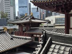 -新加坡佛牙寺龙华院