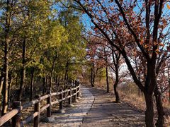 -北京十三陵国家森林公园蟒山景区