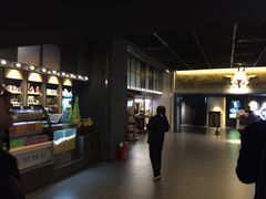 -新影联·华谊兄弟影院(望京店)
