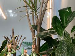 -小意思咖啡店(草桥店)