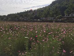 -红山村
