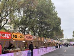 -高东镇樱花园