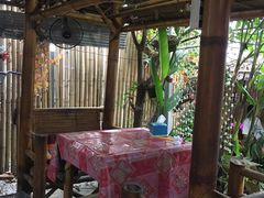 -Jungle Kitchen