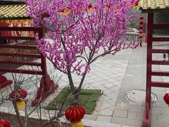 -遵化汤泉宫度假村温泉