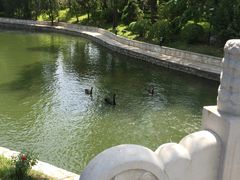 -钓鱼台国宾馆