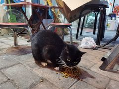 -天府米线笼笼肉夹馍(钟楼小区店)