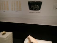 -上海崧泽遗址博物馆