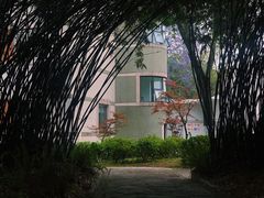 景点-成都大熊猫繁育研究基地