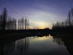 -黄海国家森林公园