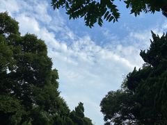 -八大关景区