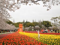 -苏州上方山国家森林公园
