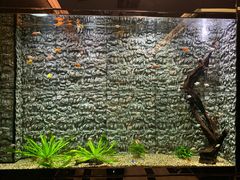 -长沙豪布斯卡酒店(长沙省政府德思勤店)