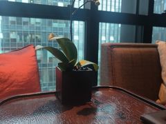 -丽晶轩中餐厅(重庆丽晶酒店)