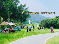 -风云岭森林公园