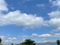-深圳湾公园(南山区)