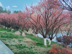 -天鹅湖体育公园