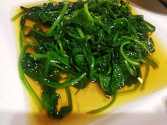 -天福苑(崇宁路店)