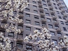 -西安曲江海洋极地公园