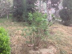 android_upload_pic-文瀛公园