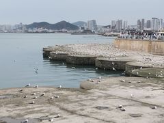 -星海广场
