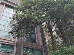 -臻儿屿月子会所(茶山店)