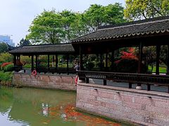 -绍兴镜湖国家城市湿地公园