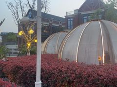-悦见花开·花园里的火锅·露营·下午茶