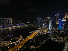 -新加坡瑞士史丹福酒店