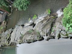-天怡·鱼工厂(梅溪湖店)