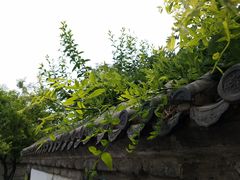 -王家大院