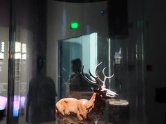 -中国湿地博物馆