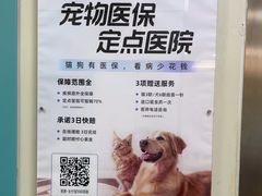-北京观赏动物医院·24小时大型综合·猫专科·异宠专科