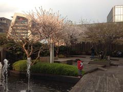 -新世界百货(明洞总店)