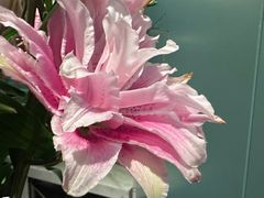 -南堂馆·新川菜(春熙路店)