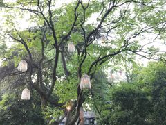 -西湖天地