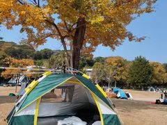 -牛岗山公园