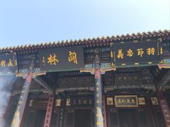 -关林