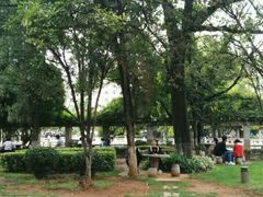 -云南师范大学(一二一西南联大校区)