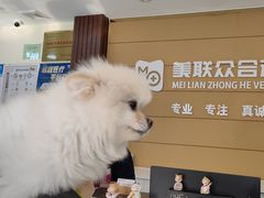 -美联众合动物医院·24h京西诊疗中心