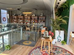 -了不起的考拉咖啡店(高新店)